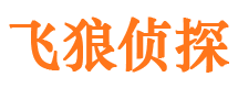 龙门侦探公司